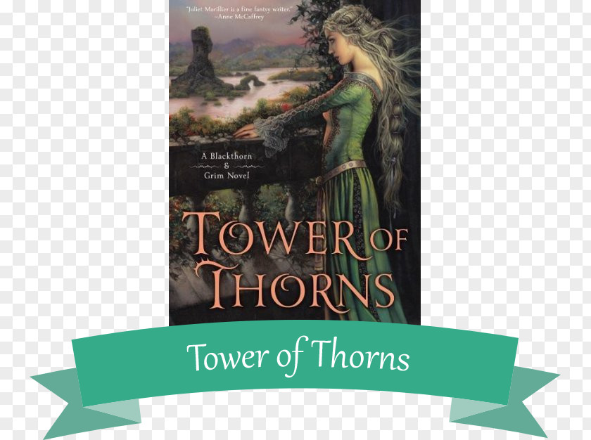 Book Tower Of Thorns Dreamer's Pool Hardcover Cybele's Secret Amazon.com PNG