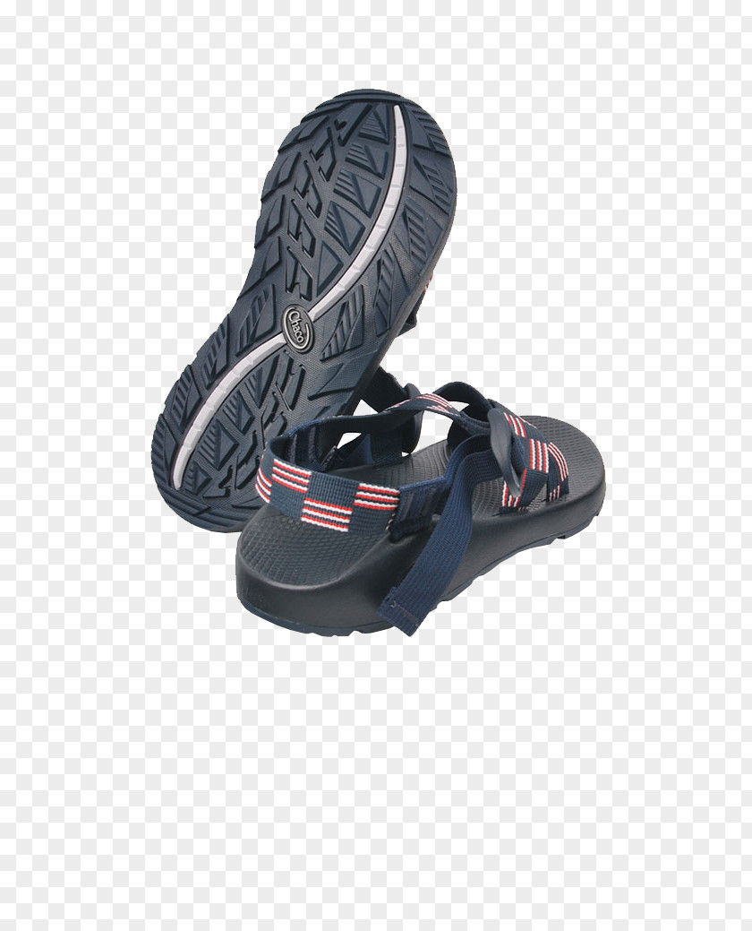 Chaco Outdoor Sports Sandals Sandal Shoe PNG