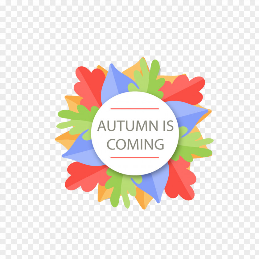 Colored Autumn Leaves Circular Label Paper PNG