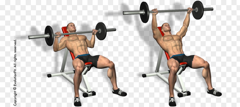 Dumbbell Shoulder Press Exercise Bench Physical Fitness Centre PNG