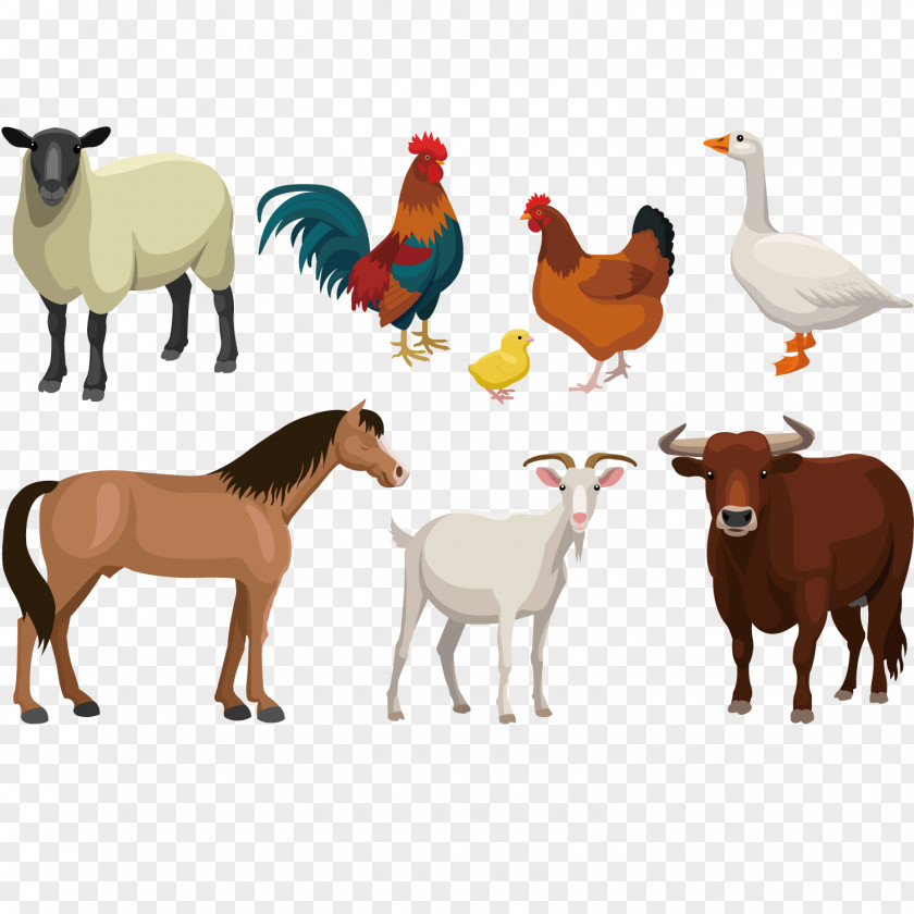 Farm Animal Vector Illustration Cattle Goat Sheep Livestock PNG