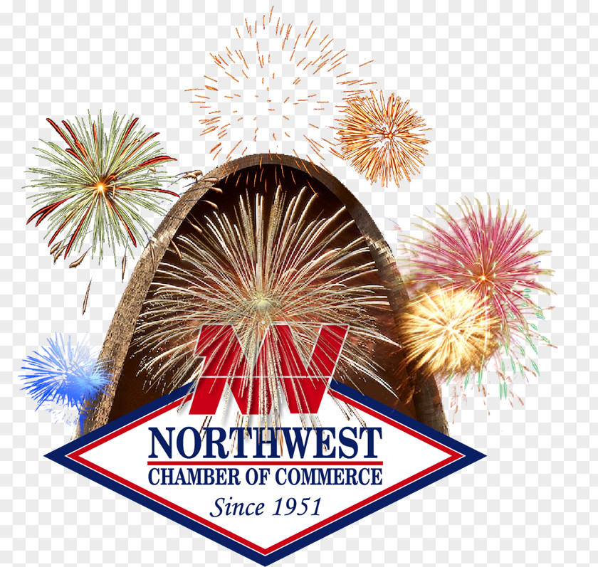 Non Profit Organization New Year Fireworks Independence Day Map PNG