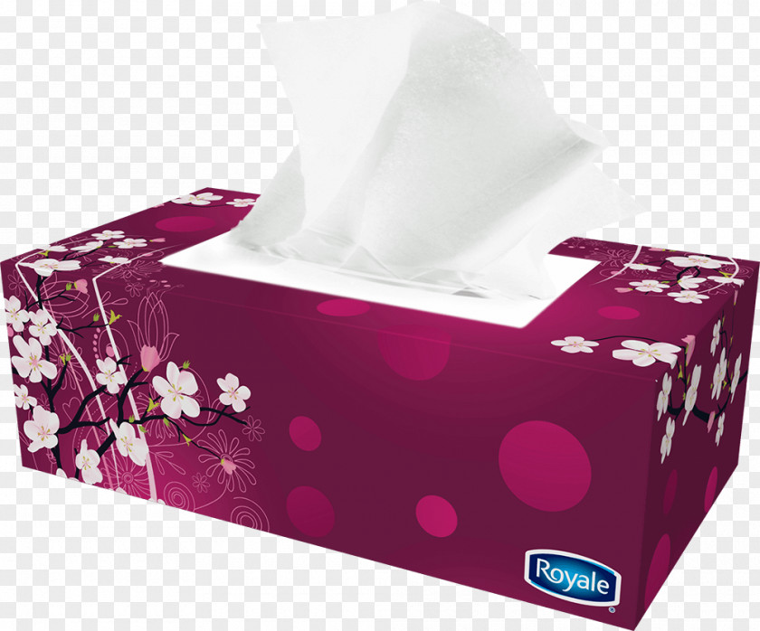 Toilet Paper Cloth Napkins Facial Tissues Royale PNG