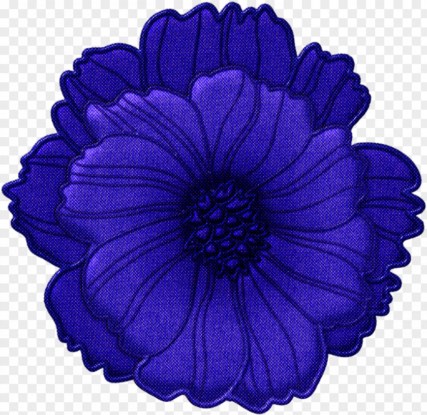 Aster Plant Transvaal Daisy Flower Petal Interior Design Services PNG
