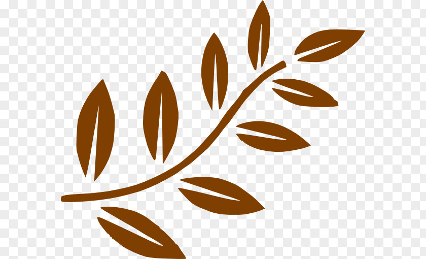 Folha Branch Leaf Tree Clip Art PNG