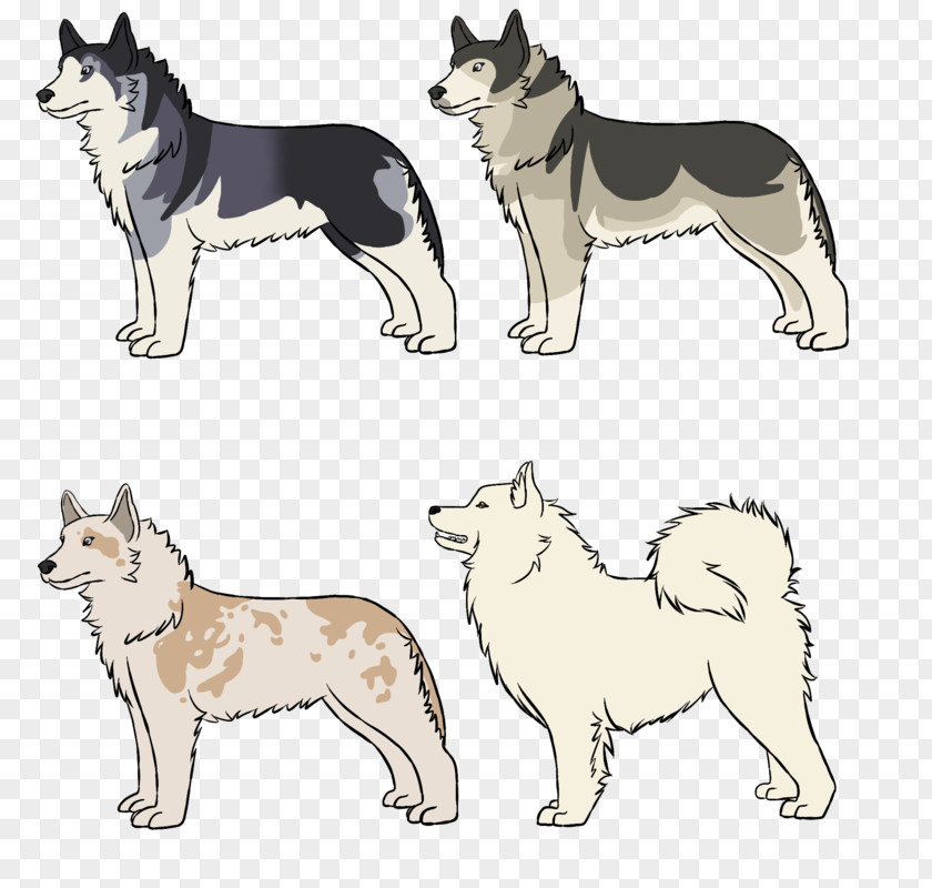 Husky Drawing Siberian Saarloos Wolfdog East Laika Alaskan Malamute West PNG