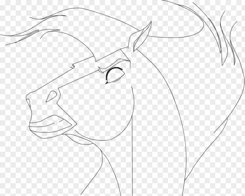 Line Art Drawing Painting Sketch PNG