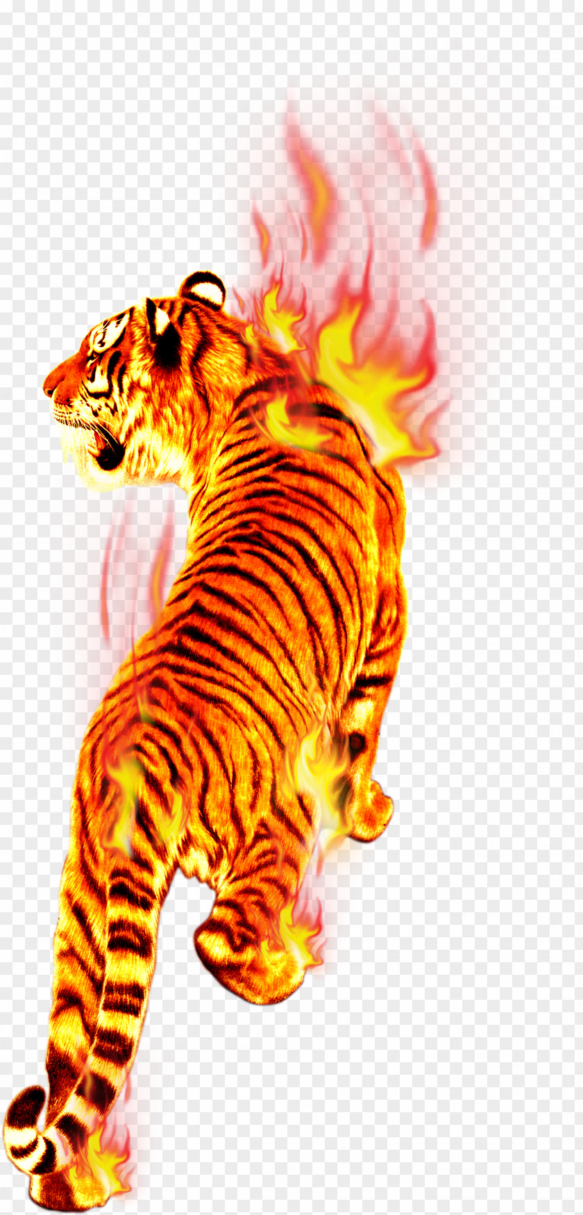 Tiger In Flames Flame Fire Combustion PNG