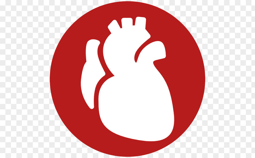 Cardiovascular Disease Coronary Artery Blood Vessel Heart PNG