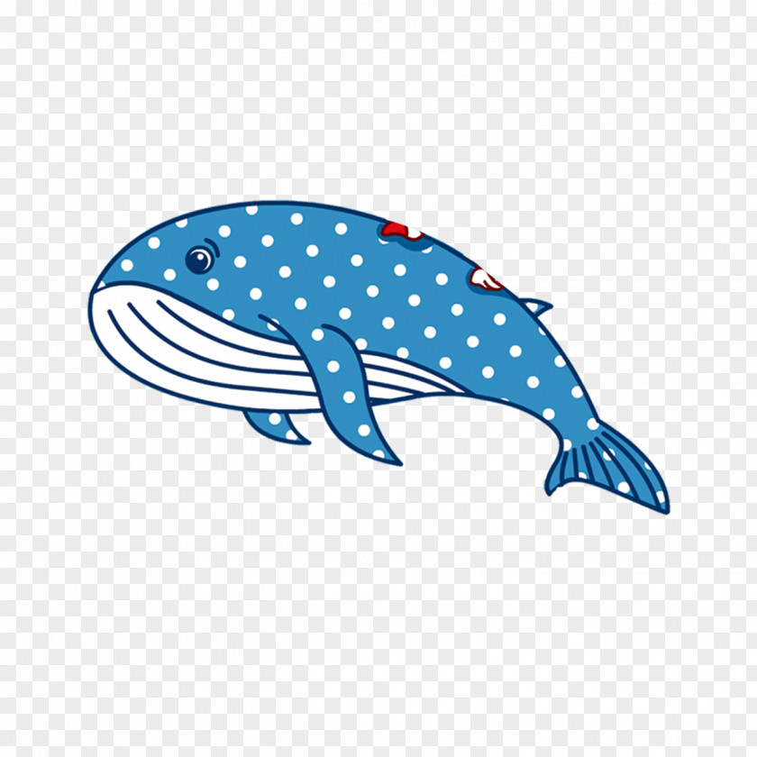 Cartoon Whale Ali Android Desktop Environment Wallpaper PNG