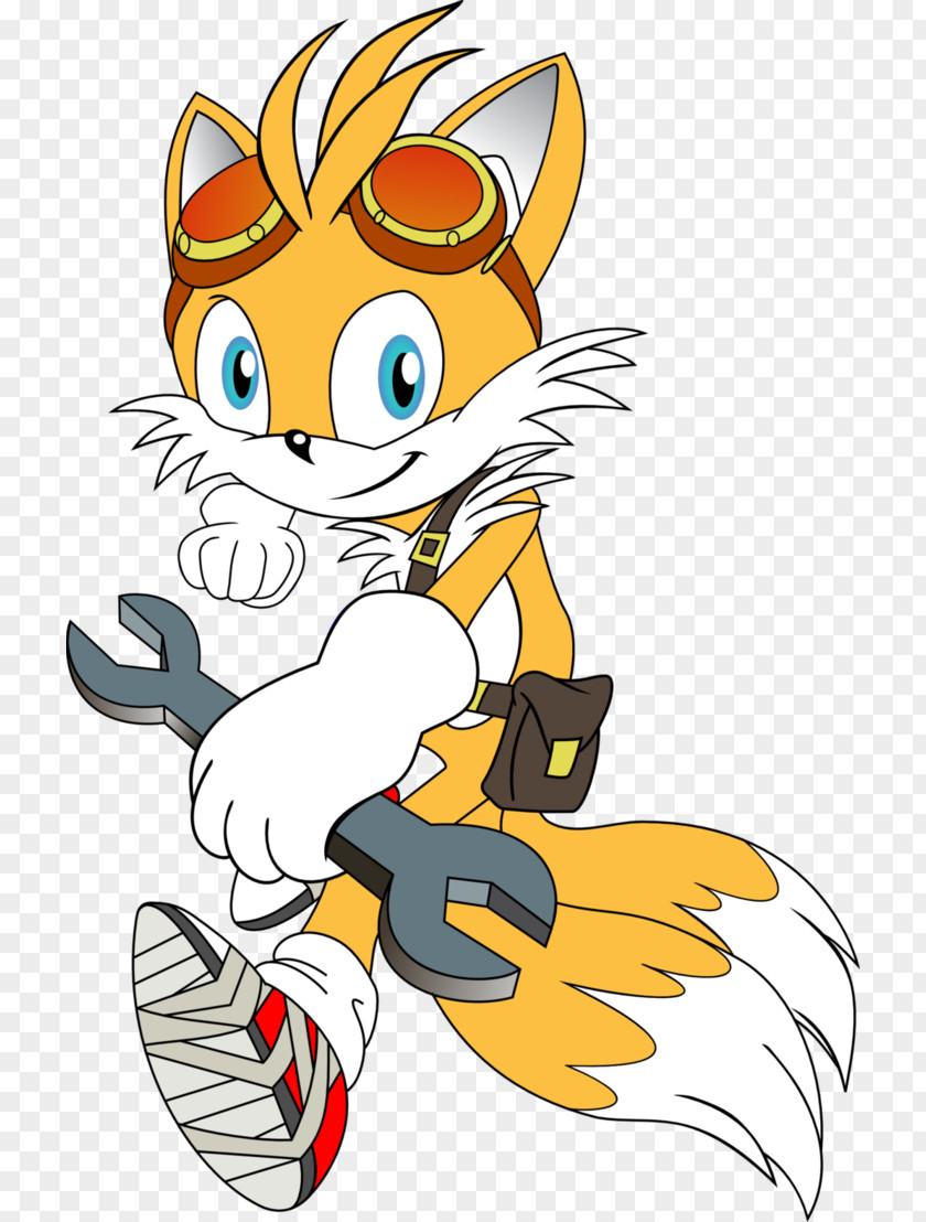 Cat Sonic Chaos Tails Boom Ariciul PNG