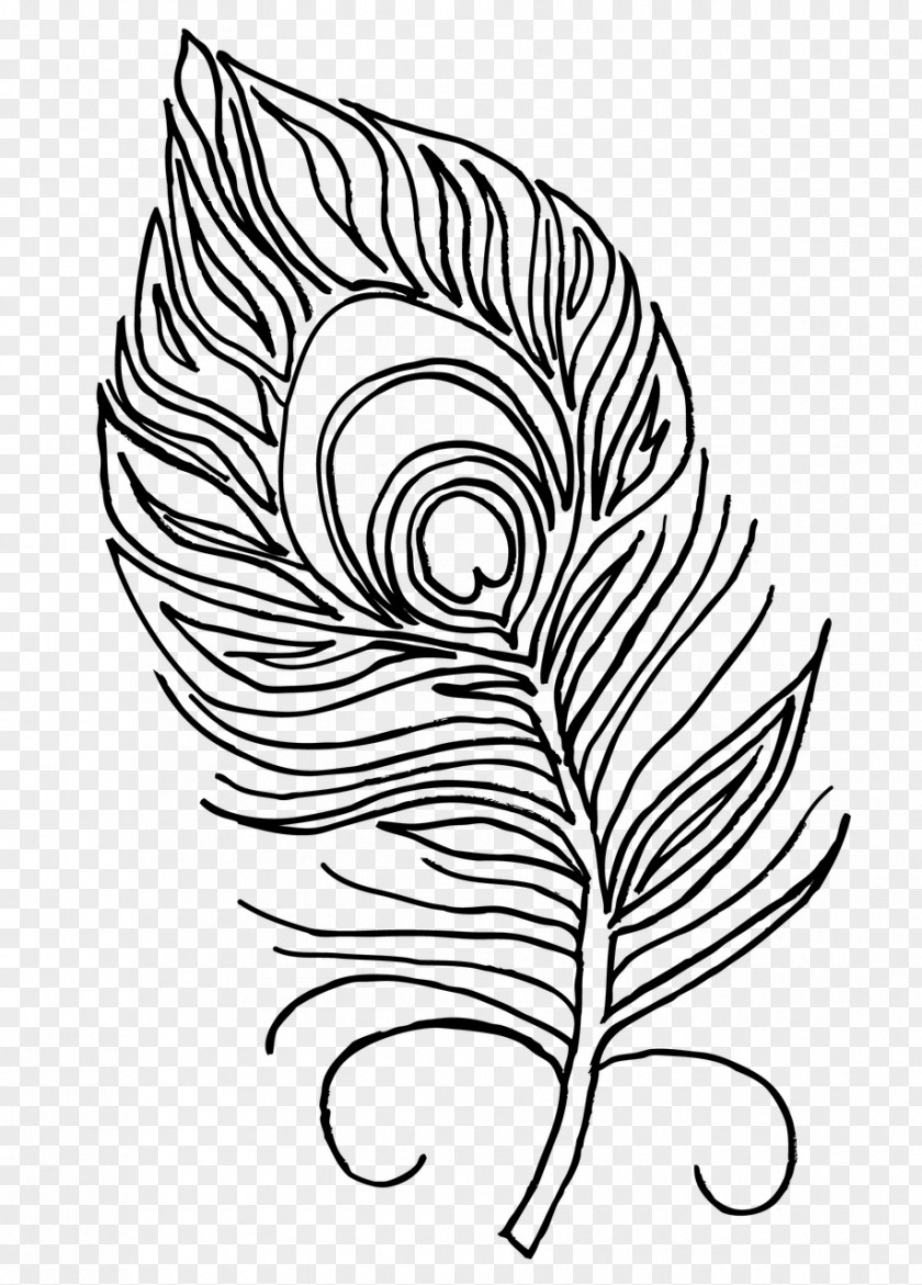 Feather Coloring Book Peafowl PNG