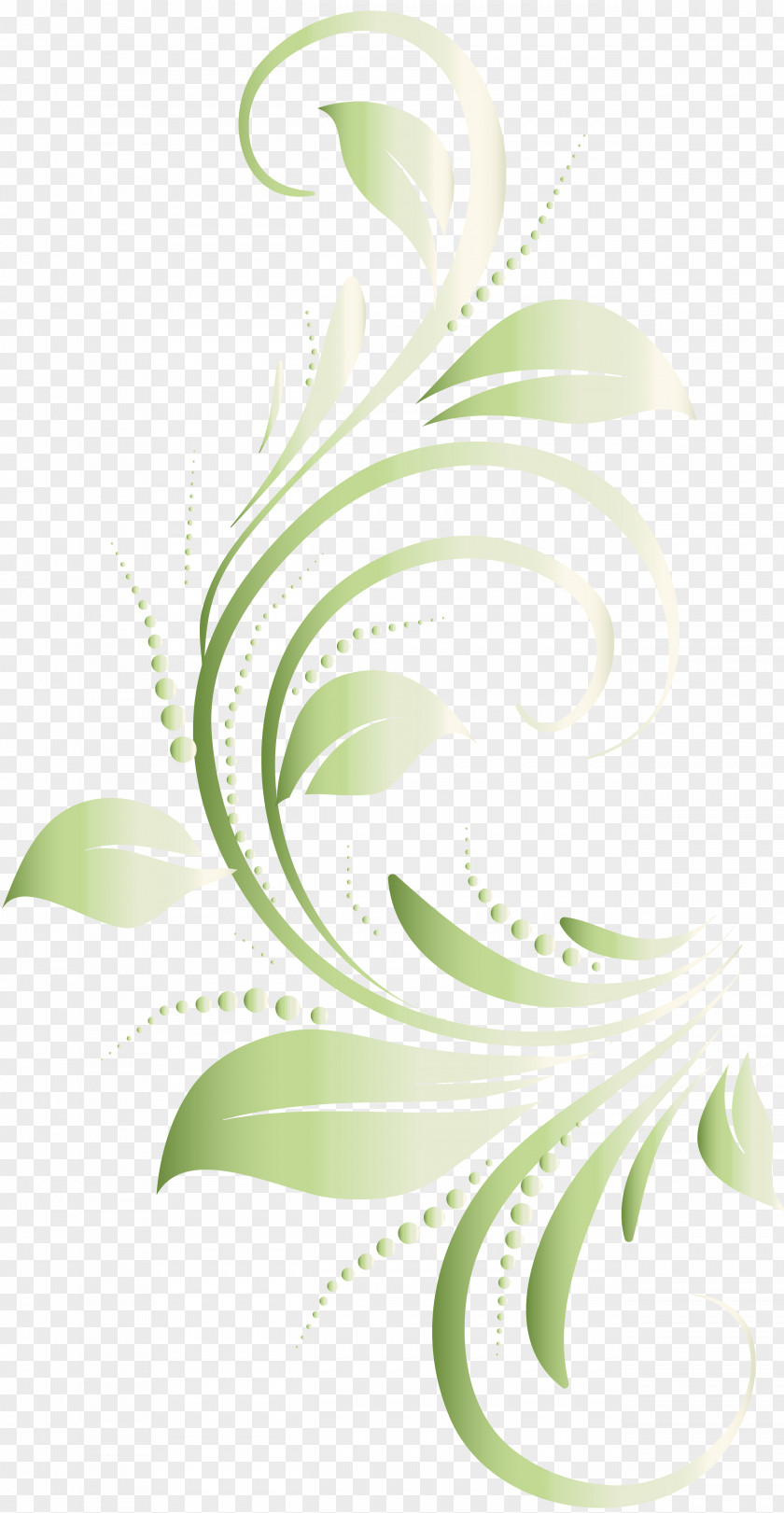 Green Floral Design Flower Graphic PNG