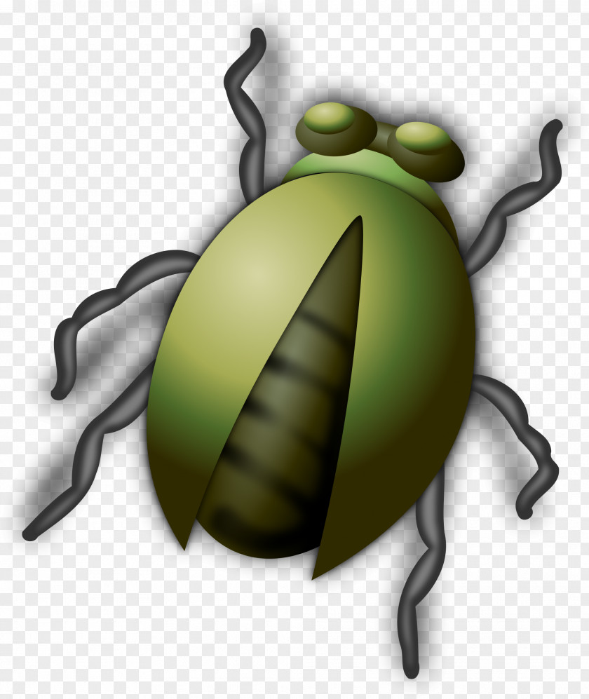 Bugs Insect Clip Art PNG