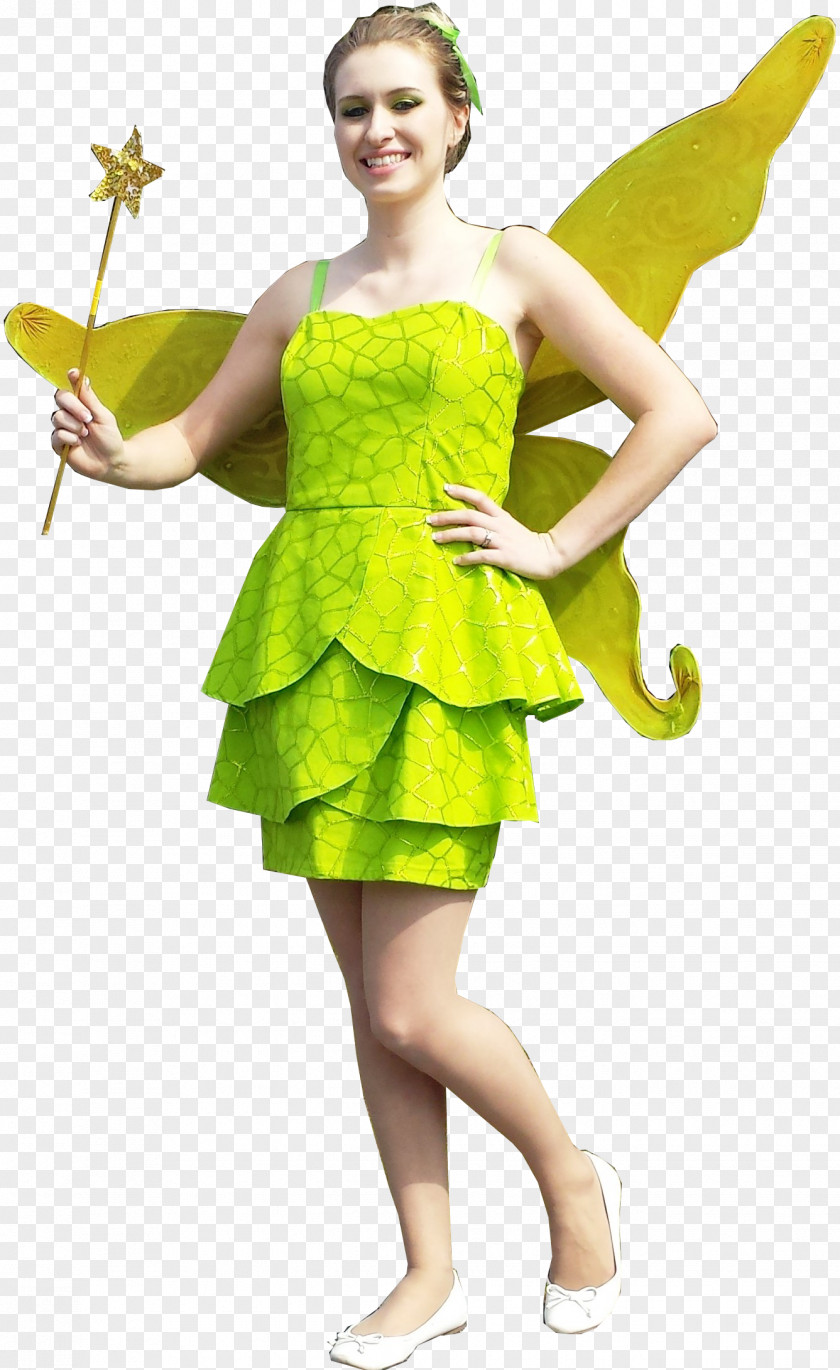 Fairy Costume Fashion Cosplay Dress PNG