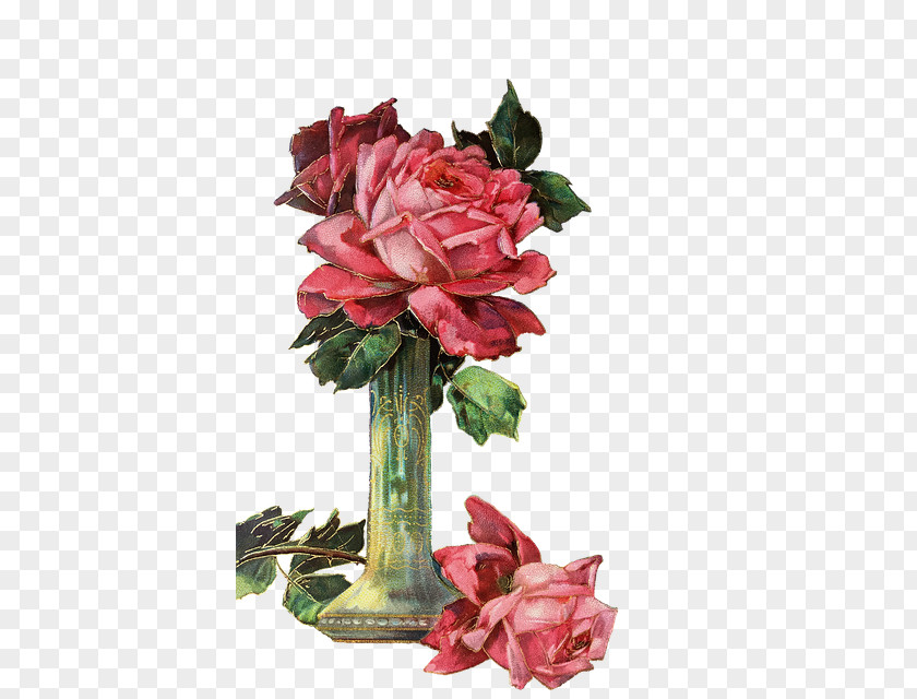 Garden Roses PNG