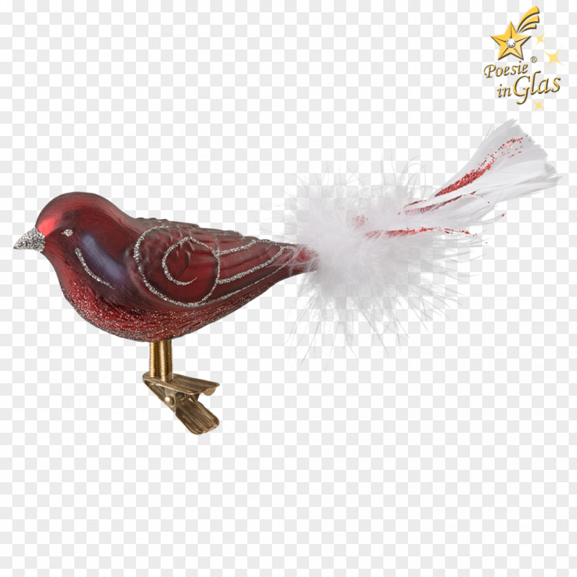 Hand Painted Cook Feather Beak PNG