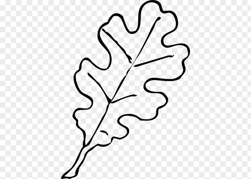 Leaves Black And White Drawing Oak Leaf Clip Art PNG