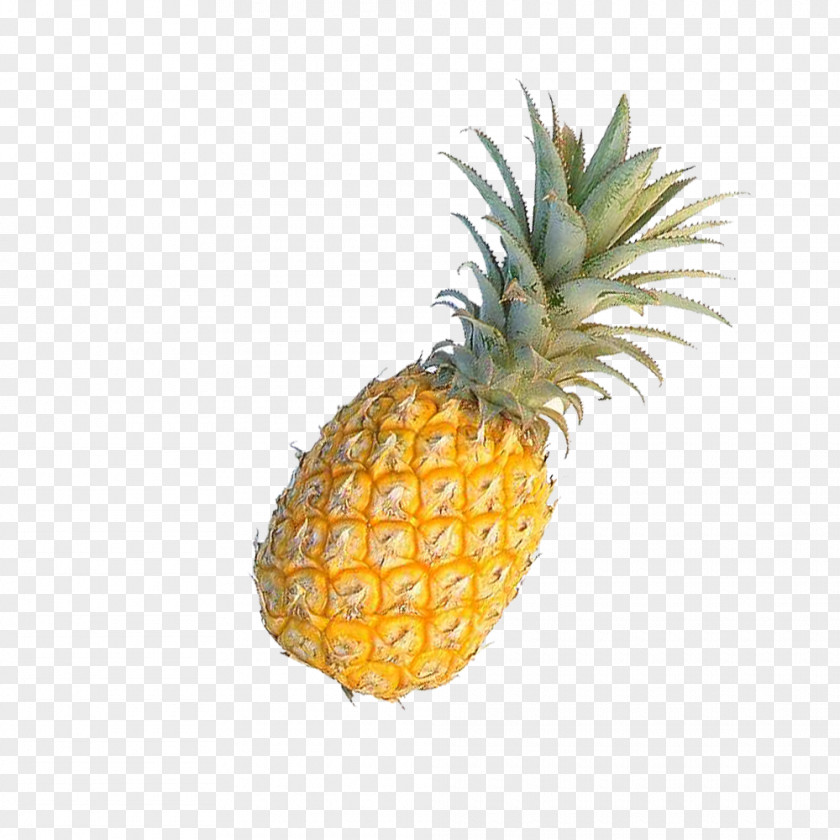 Pineapple Fruit Pizza PNG
