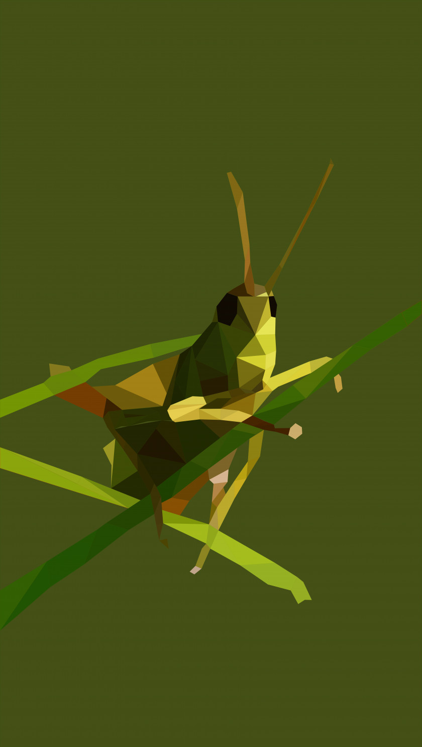 Grasshopper Insect Tettigonia Viridissima Locust Mantis PNG