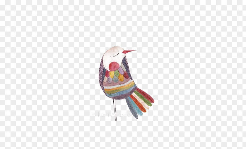 Cartoon Bird Birds Coloring Book Drawing Kurta Illustration PNG