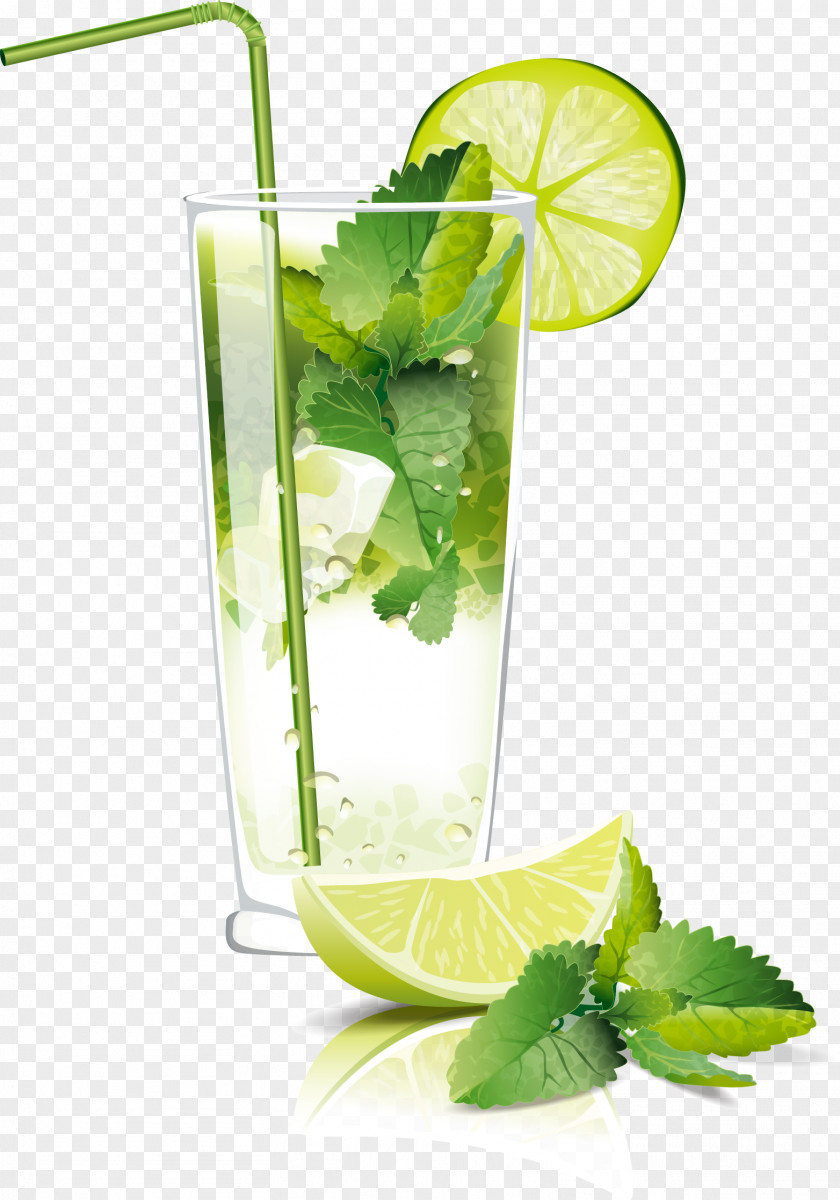 Fruit Juice Mojito Cocktail Soft Drink Carbonated Water PNG