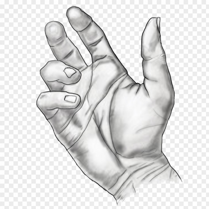 Hand Thumb Drawing Model Sketch PNG