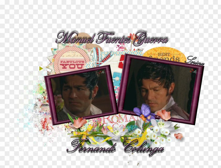 Sorina Ceugea Picture Frames PNG