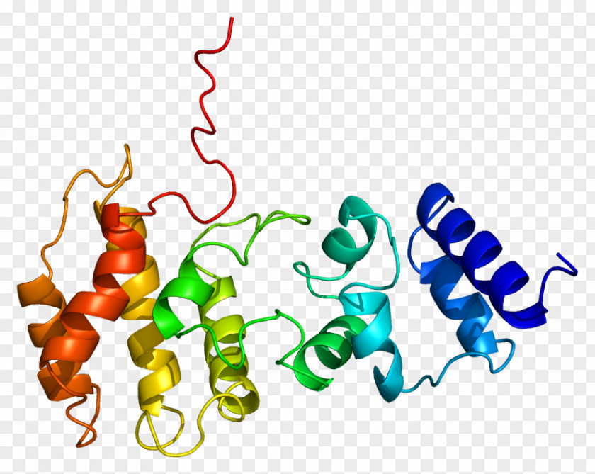 CYTH3 GeneCards CYTH1 Protein PNG