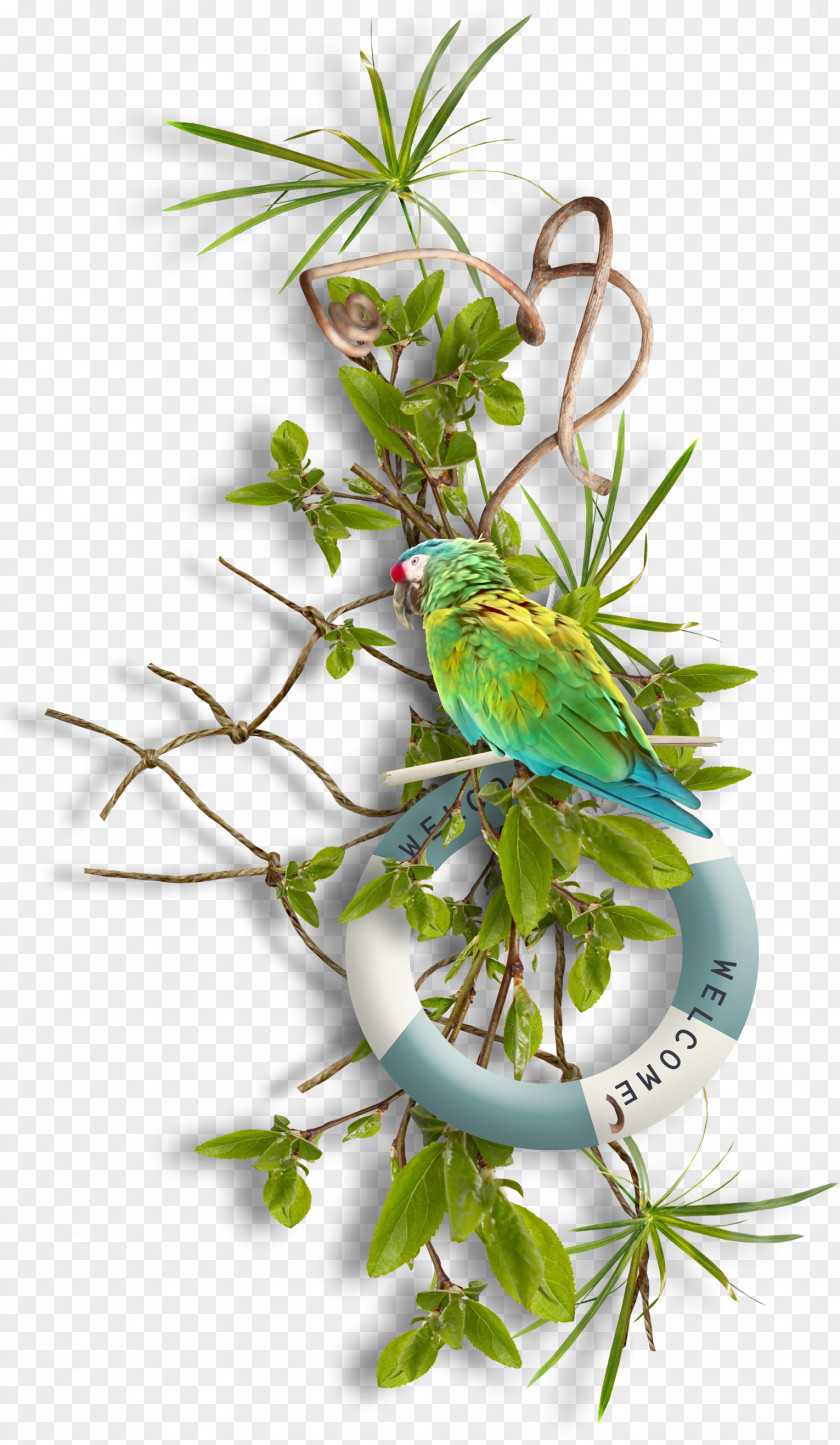 Foliage Parrot Fishing Net Clip Art PNG