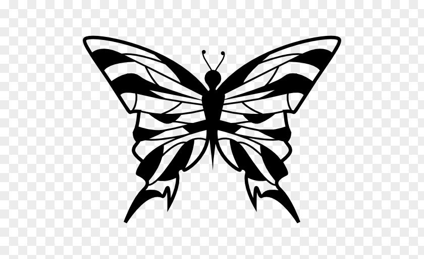 Butterfly Monarch Moth Symmetry Clip Art PNG