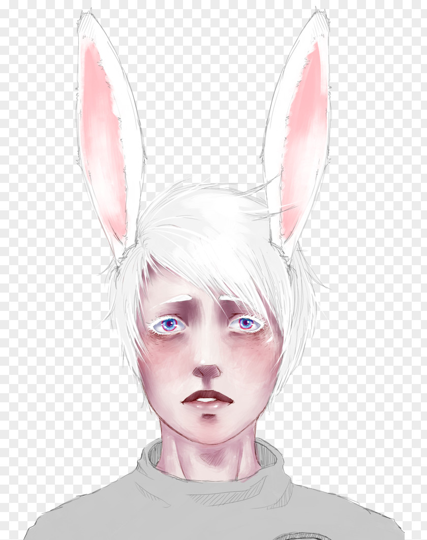 Little White Rabbit Ear Drawing Eyebrow PNG