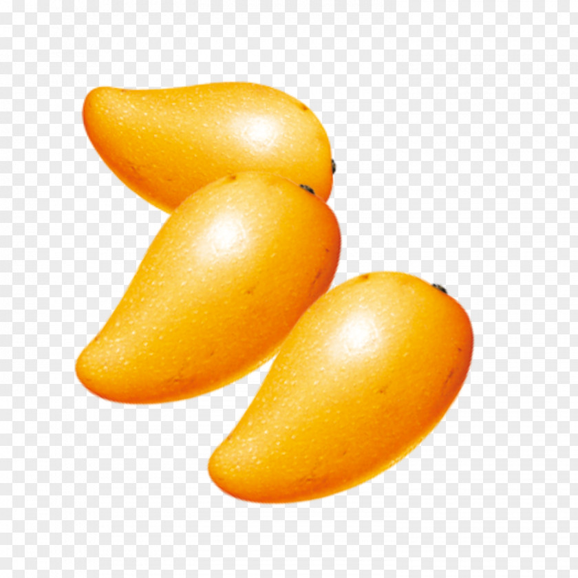 Mango Pattern Designer Clip Art PNG
