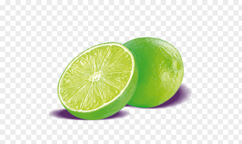 Key Lime Lemon-lime Drink Sweet Lemon Persian PNG