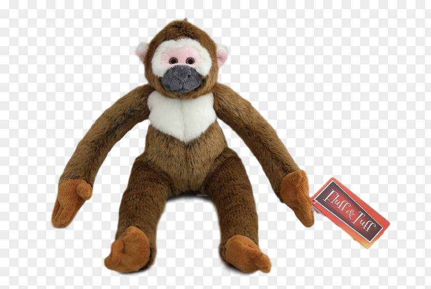 Squirrel Monkey Stuffed Animals & Cuddly Toys Plush PNG