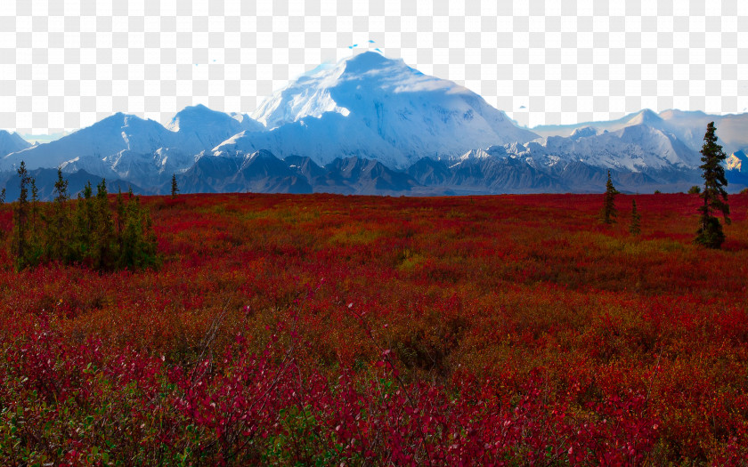 United States Denali National Park Nine Wonder Lake Yosemite Yellowstone Grand Teton PNG