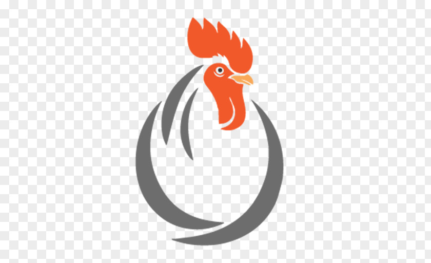 Chicken Broiler Rooster Poultry Farming PNG