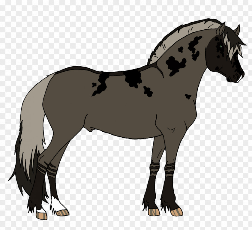 Mustang Mane Foal Mare Stallion PNG