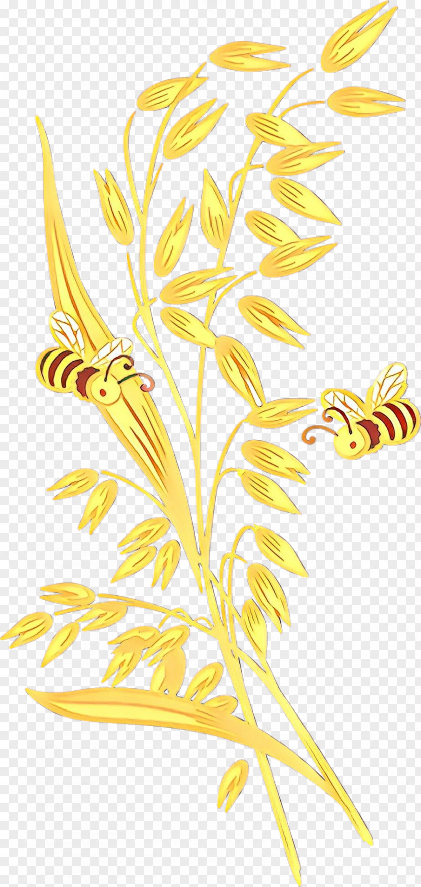 Plant Stem Wheat Cartoon PNG