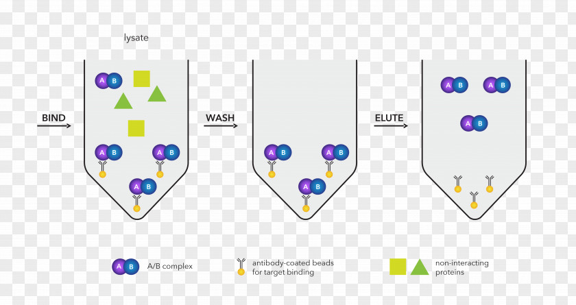 Design Graphic Diagram Material PNG