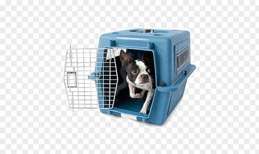 Dog Crate Cat Kennel Pet PNG