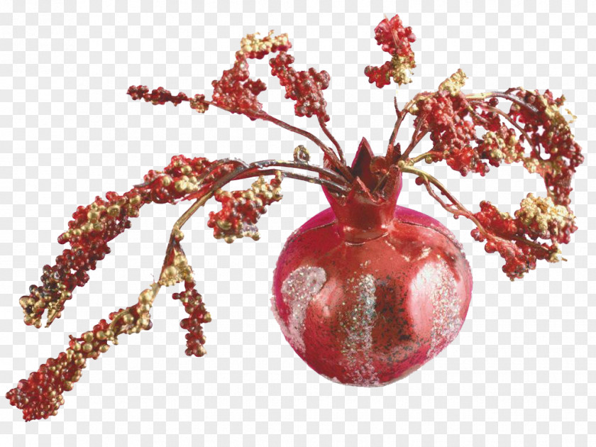 Dried Pomegranate Vase Flower Bouquet PNG