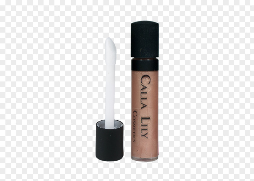 Mint Mojito Cosmetics Lip Gloss Foundation Color Toner PNG