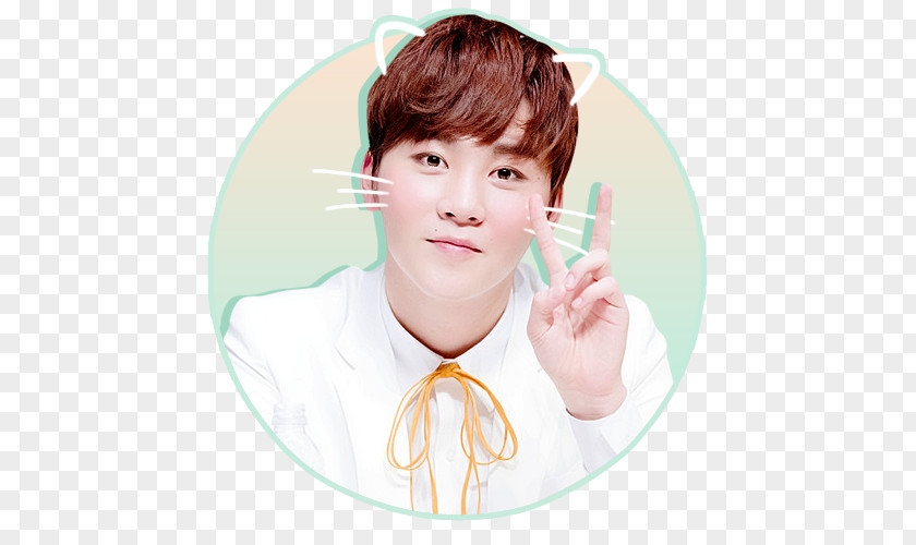 Boo Seungkwan Seventeen K-pop Drawing PicsArt Photo Studio PNG