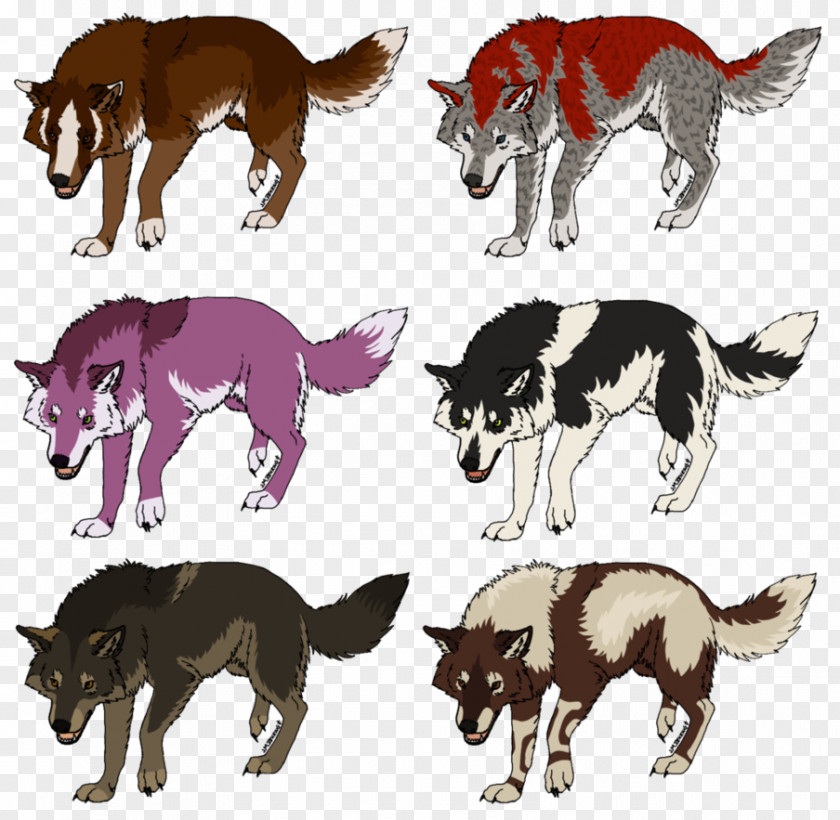 Cat Horse Dog Canidae PNG