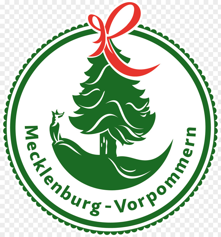 Christmas Tree Greifswald Eisladen ''Pinguin'' Gut Marihn Spruce PNG