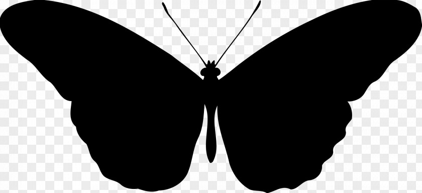 Fairy Silhouette Butterfly Clip Art PNG