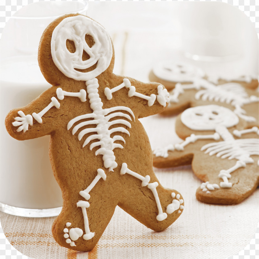 Gingerbread Biscuits Frosting & Icing Lebkuchen PNG