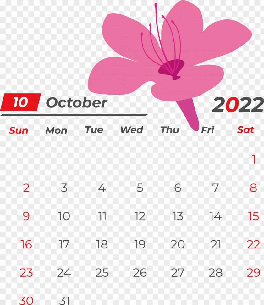 Line Calendar Flower Petal Magenta PNG