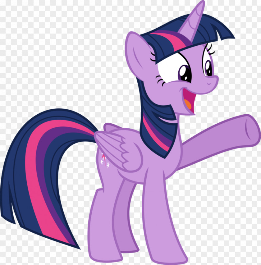 Princess Twilight Sparkle Part 1 Applejack Pony Rarity Rainbow Dash PNG